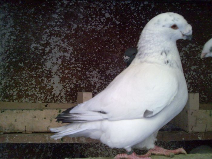 M-2010 - 3-ARHIVA AGH I
