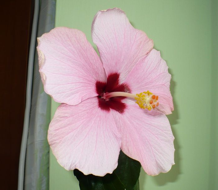 16 apr