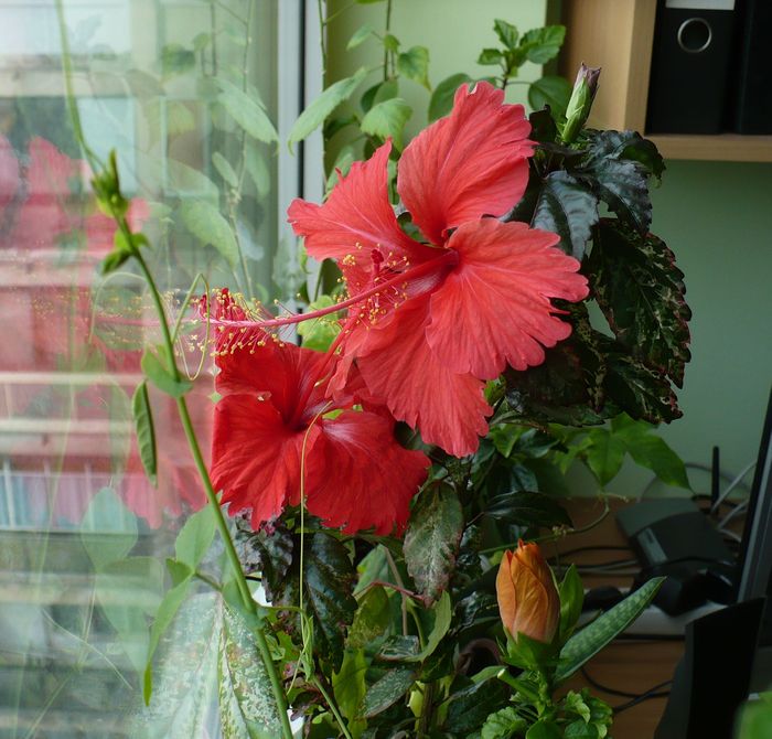 18 apr