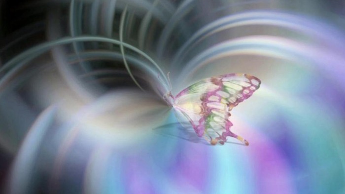 Butterfly-wings - abstract
