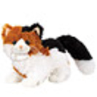  - xWebkinz Calico Cat