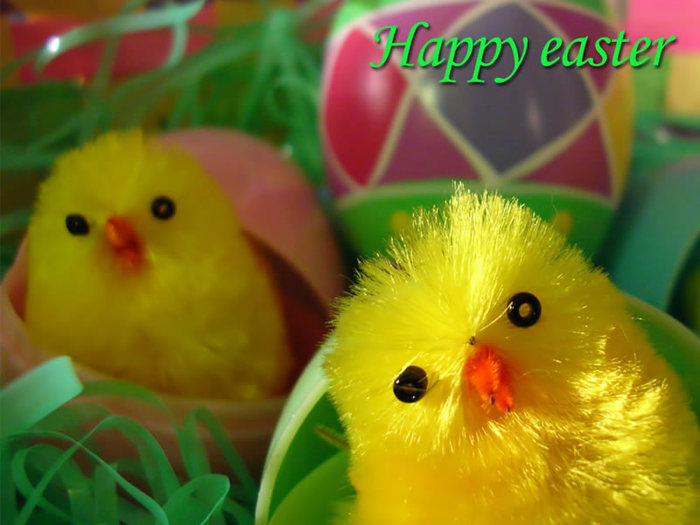 happy easter - easter