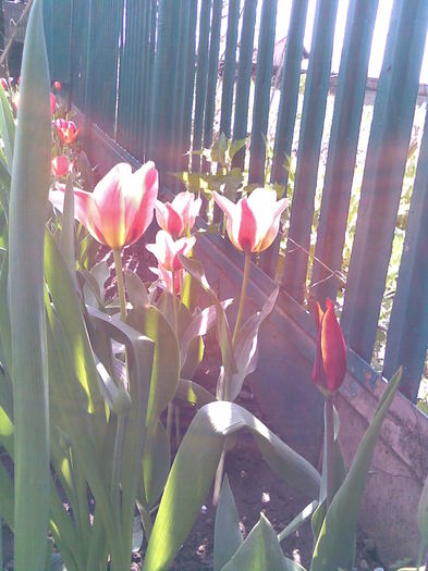 Imag016