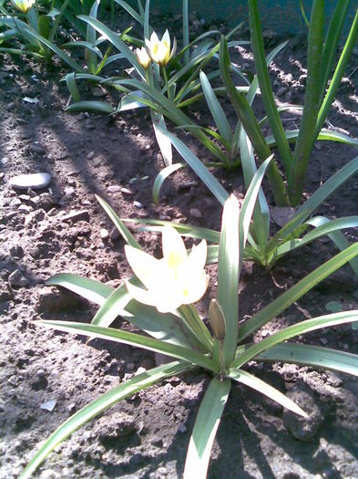 Imag023