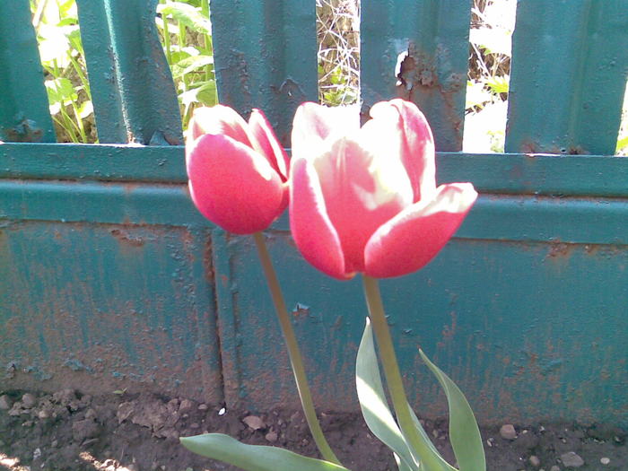 Imag022