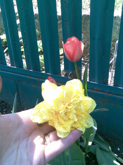 Imag029