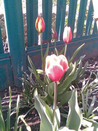 Imag026