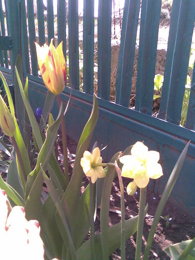 Imag028