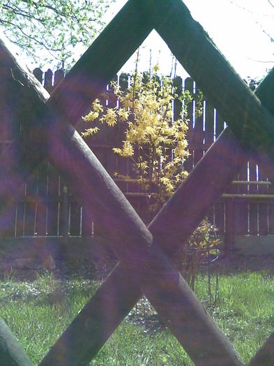 Imag038