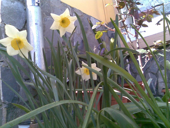 Imag046