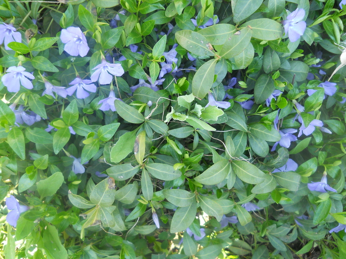 DSCN1033
