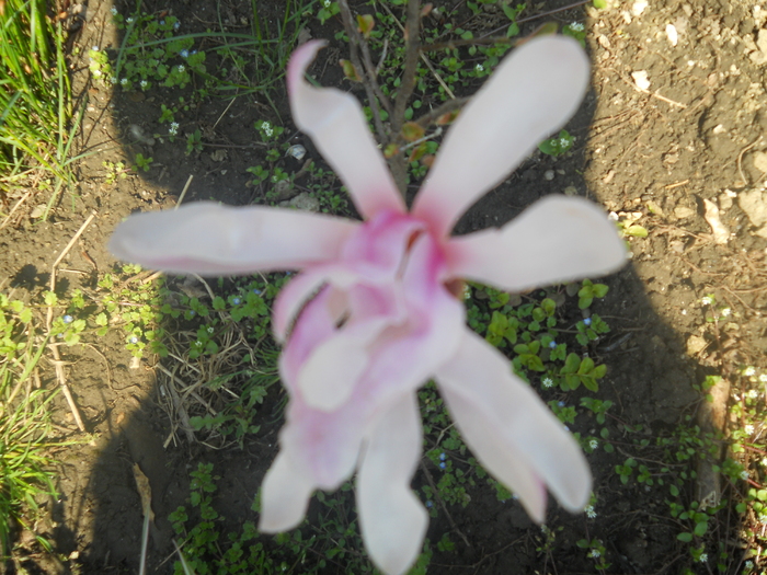 DSCN1037