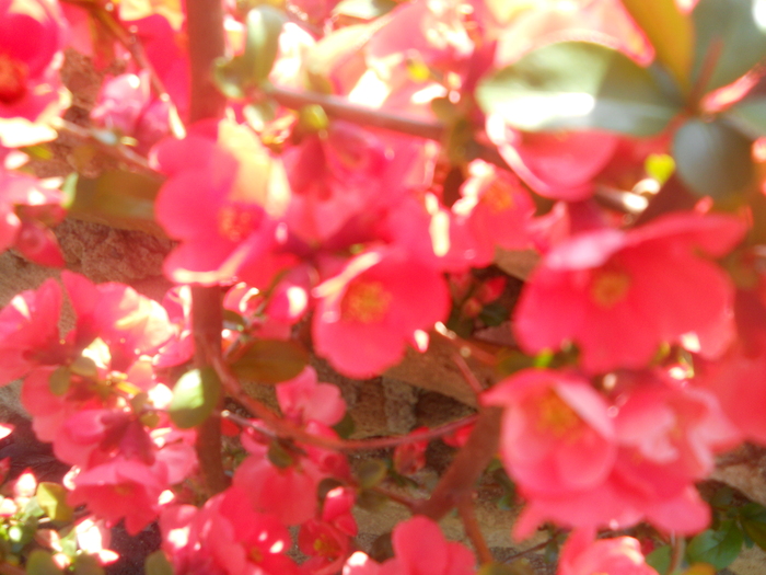 DSCN1041
