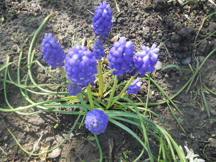 DSCN1042
