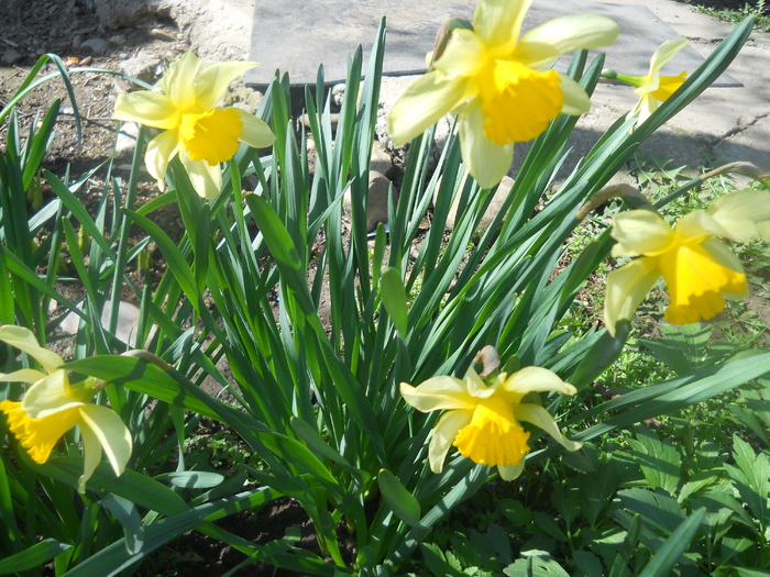 DSCN1048