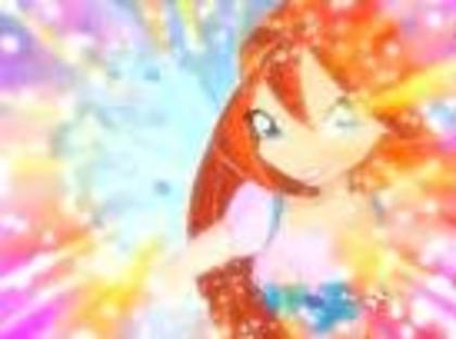 avatar winx4