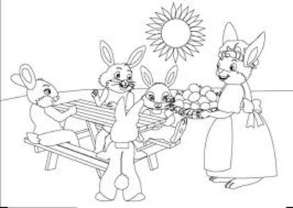 images (13)