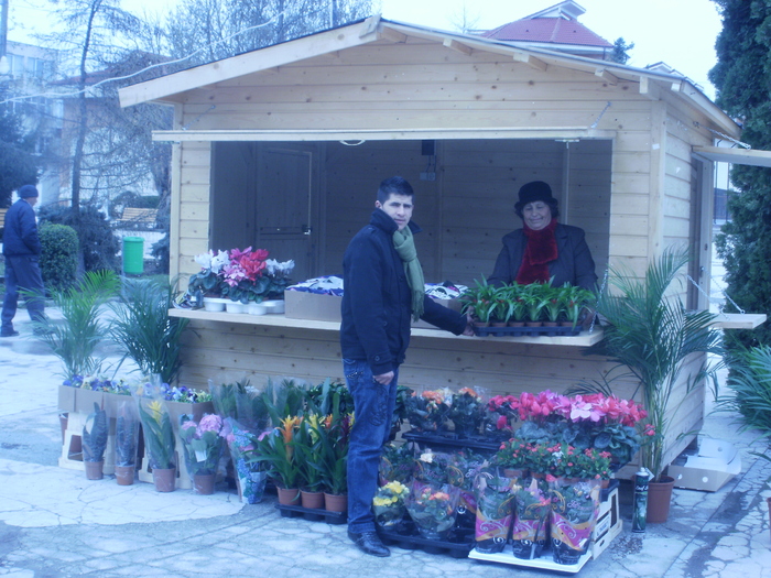P3290981 - Targul Floriilor Slobozia 2011