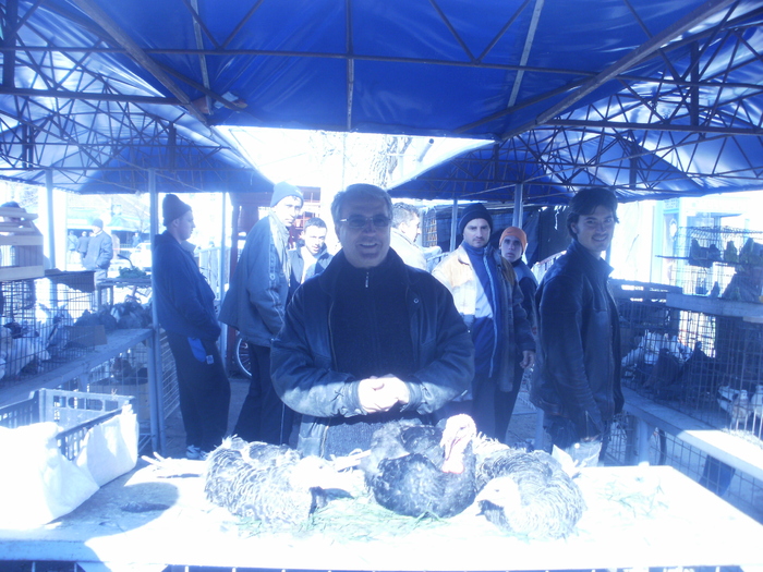 P3301022 - Targul Floriilor Slobozia 2011