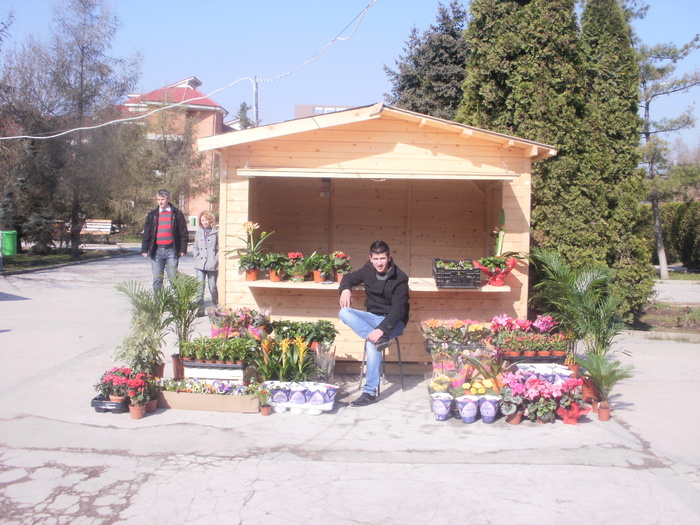 P3301027 - Targul Floriilor Slobozia 2011