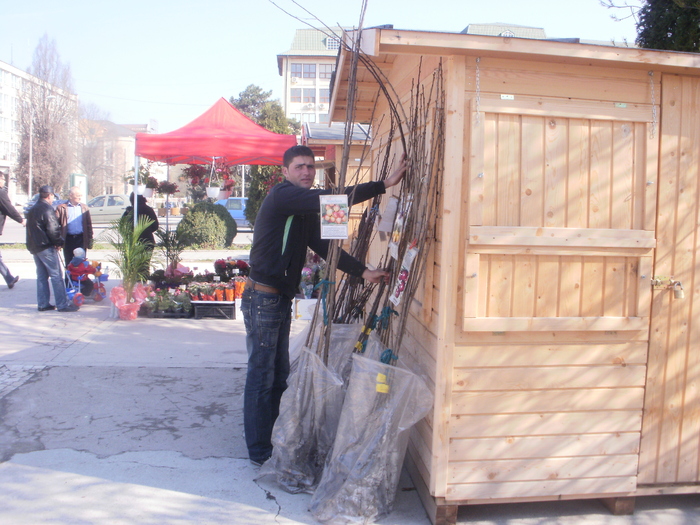 P3301030 - Targul Floriilor Slobozia 2011