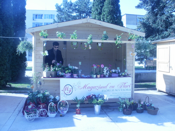 P3301031 - Targul Floriilor Slobozia 2011