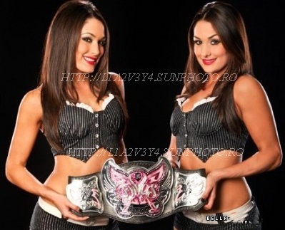 DC07 - the bella twins divas champion