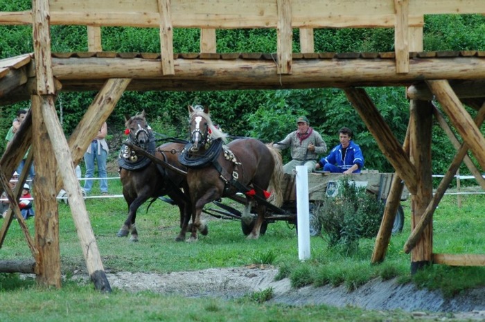 07 050 - concursuri cai polonia