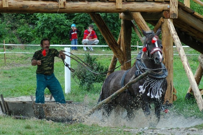 07 056 - concursuri cai polonia