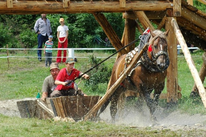 07 063 - concursuri cai polonia