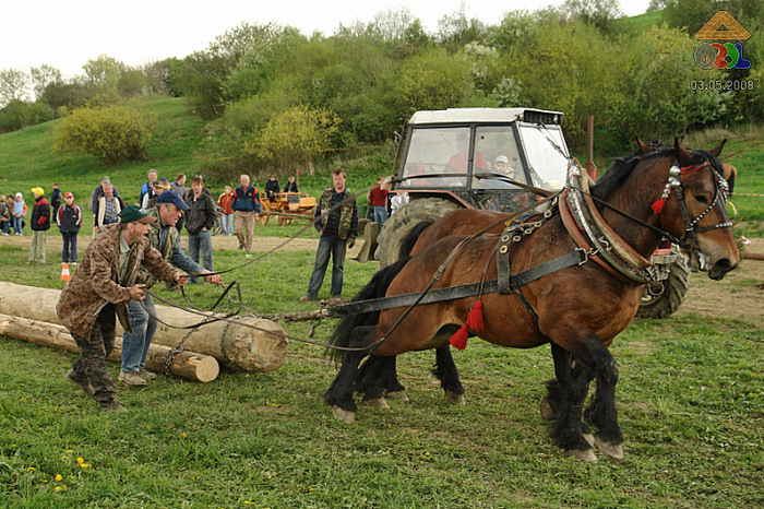 0503a0180 - concursuri cai polonia