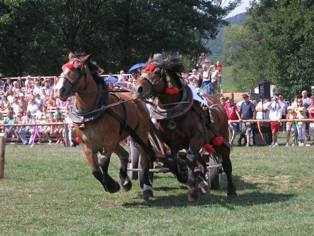 2007-08-25--11-27-36 - concursuri cai polonia