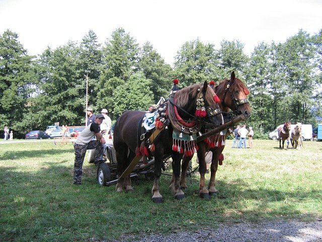 2007-08-25--11-39-10 - concursuri cai polonia