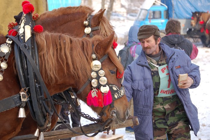 DSC_0842 - concursuri cai polonia