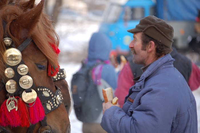DSC_0843 - concursuri cai polonia