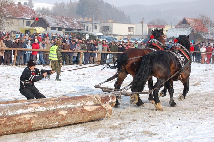 DSC_0894 - concursuri cai polonia
