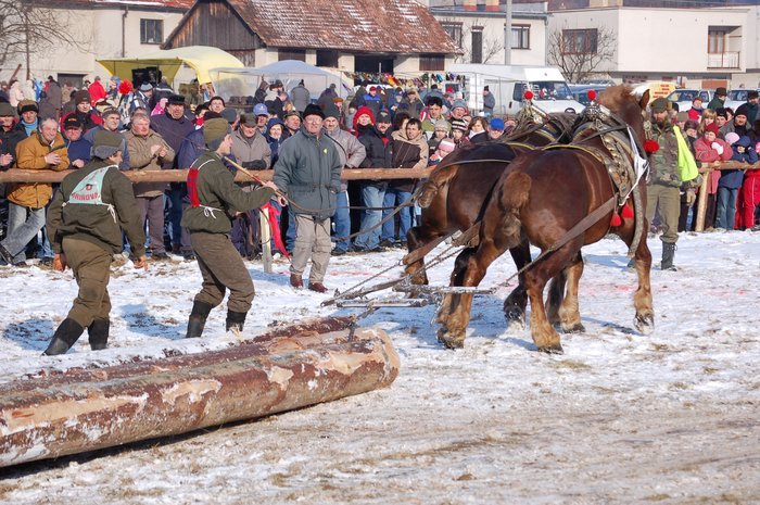 DSC_0987 - concursuri cai polonia
