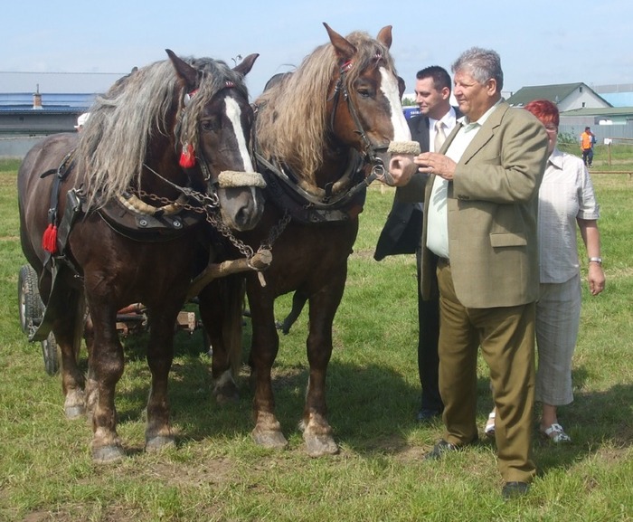 DSCF4661 - concursuri cai polonia