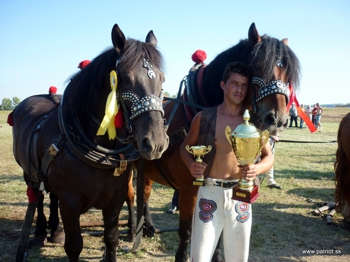 furmanske-preteky-1 - concursuri cai polonia