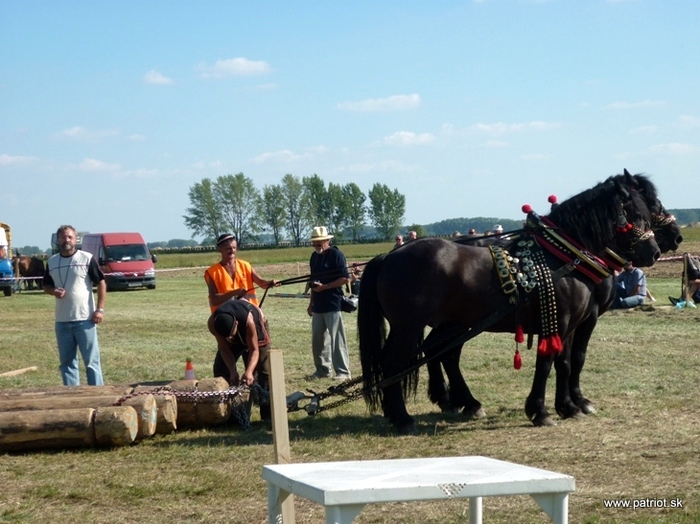 furmanske-preteky-3 - concursuri cai polonia