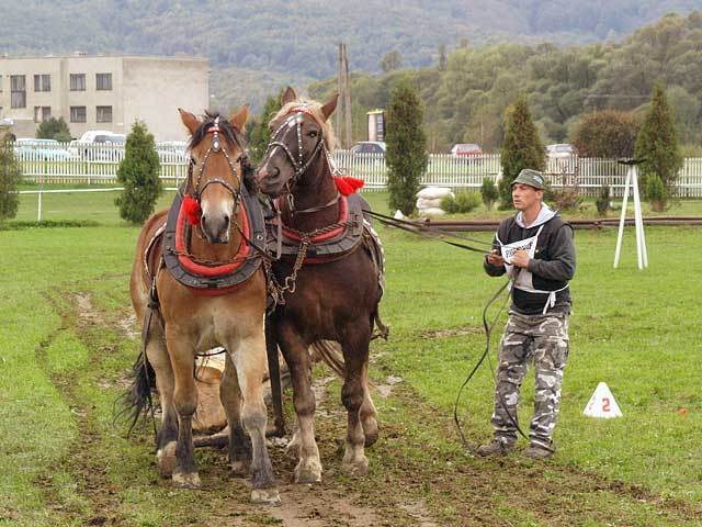 furmanske-preteky-2007-23 - concursuri cai polonia