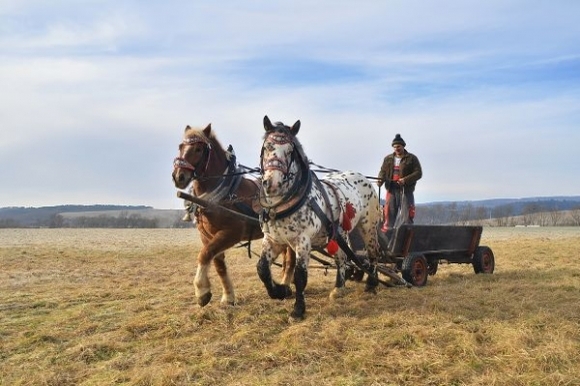 furmanske-preteky-sielnicka-podkova (1) - concursuri cai polonia