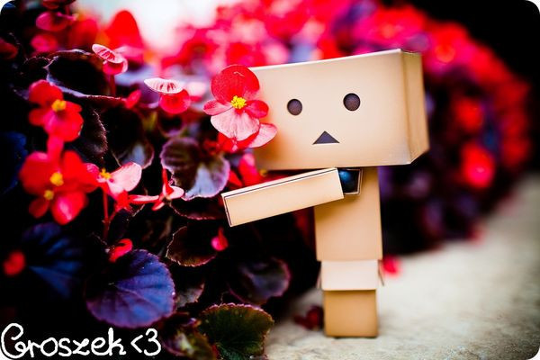 32709922_GQXYBDZOF - CutIUTsa DANbo xx