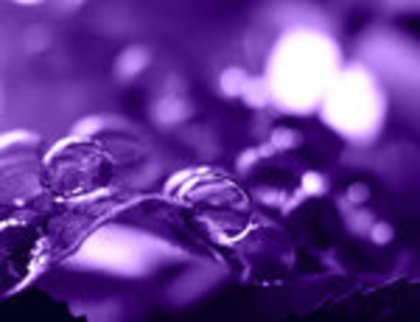 purple__by_cternetea-d2asyd8 - 00 COOL 123 00