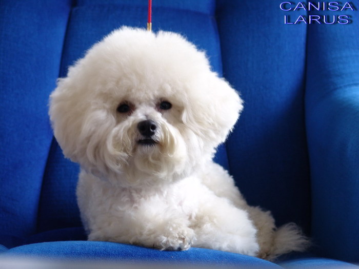 yaya-only-hannah-montana-6930719-116-120