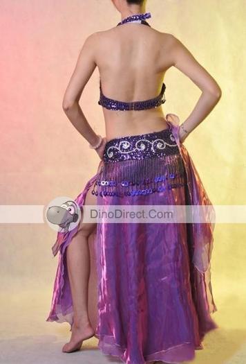 FMX-Sexy-Halter-Top-Skirt-Girdle-Belly-Dance-Costume_1