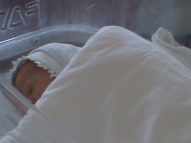 DSC02794; somnic, sa creasca mare!
