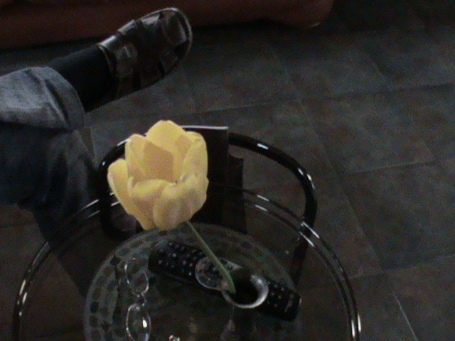 DSC02777 - Flori