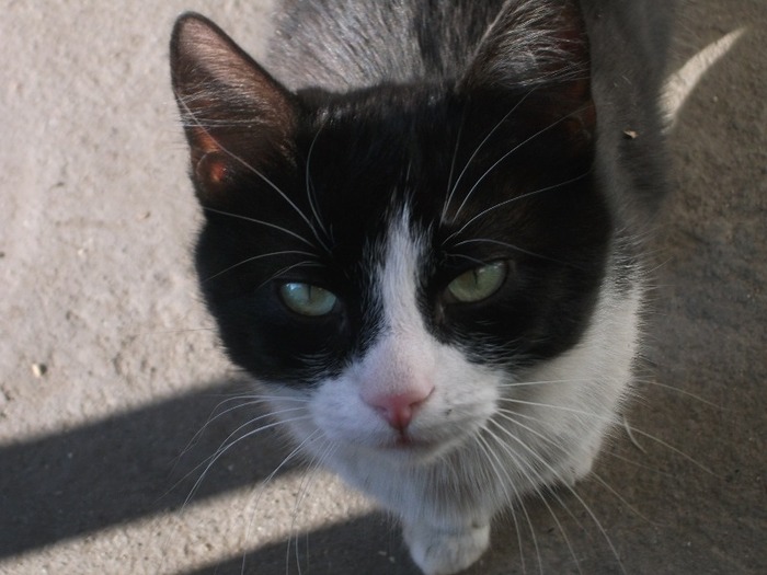 Picture 1608 - MIEUNEL