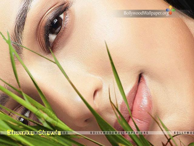 Bhumika-Chawla-Wallpaper-013[1]